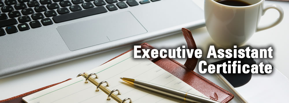 top.execassist